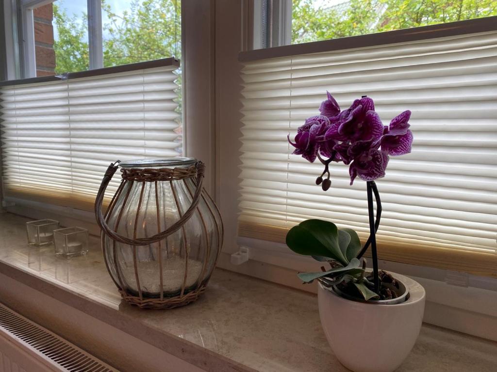 Haus Jenny Wohnung E1 Mit Terrasse Boltenhagen Kültér fotó